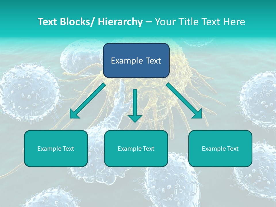 Cancer Cell Immune System Cancer PowerPoint Template