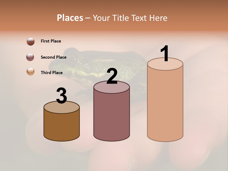 Anticipation Nature Imagination PowerPoint Template