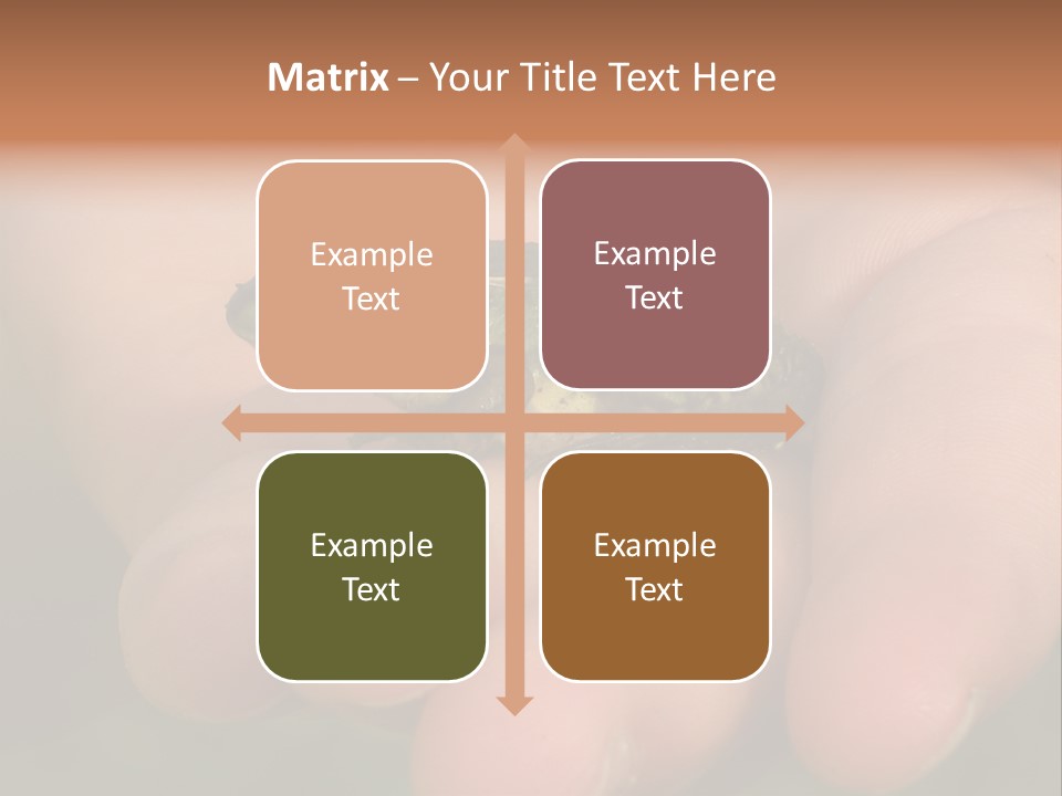 Anticipation Nature Imagination PowerPoint Template