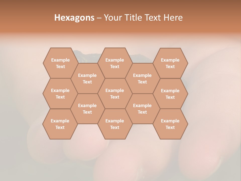 Anticipation Nature Imagination PowerPoint Template