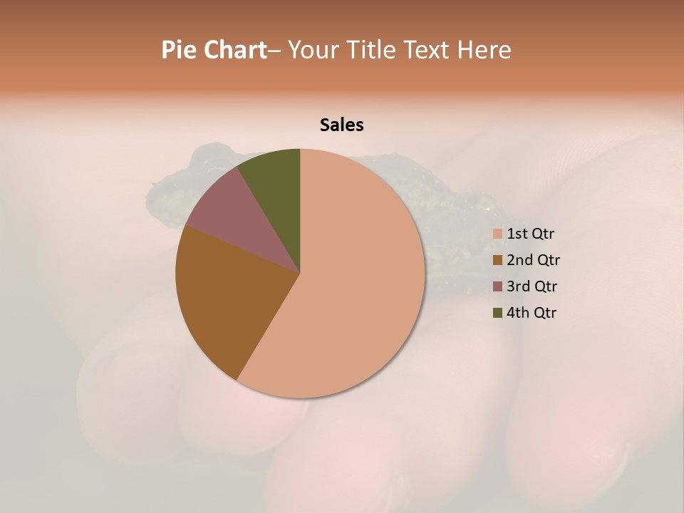 Anticipation Nature Imagination PowerPoint Template