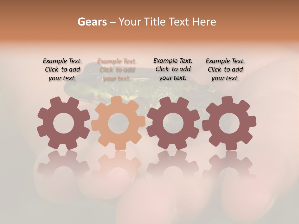 Anticipation Nature Imagination PowerPoint Template