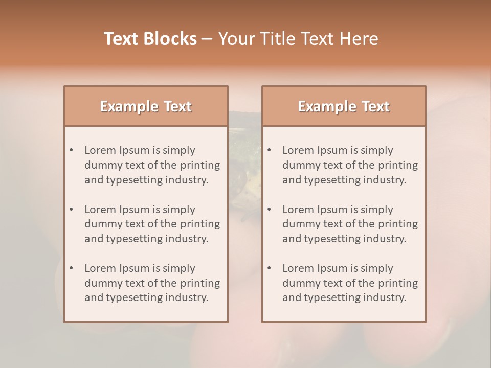 Anticipation Nature Imagination PowerPoint Template