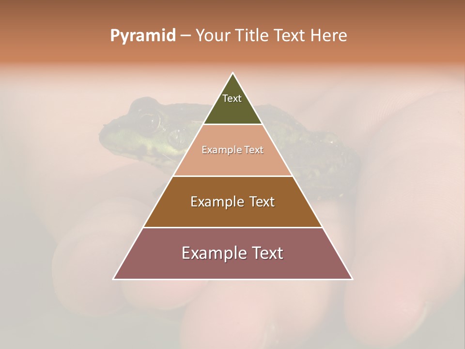 Anticipation Nature Imagination PowerPoint Template