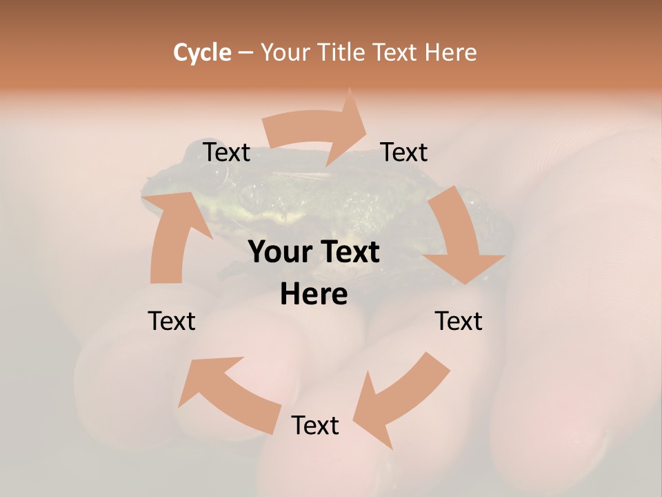 Anticipation Nature Imagination PowerPoint Template