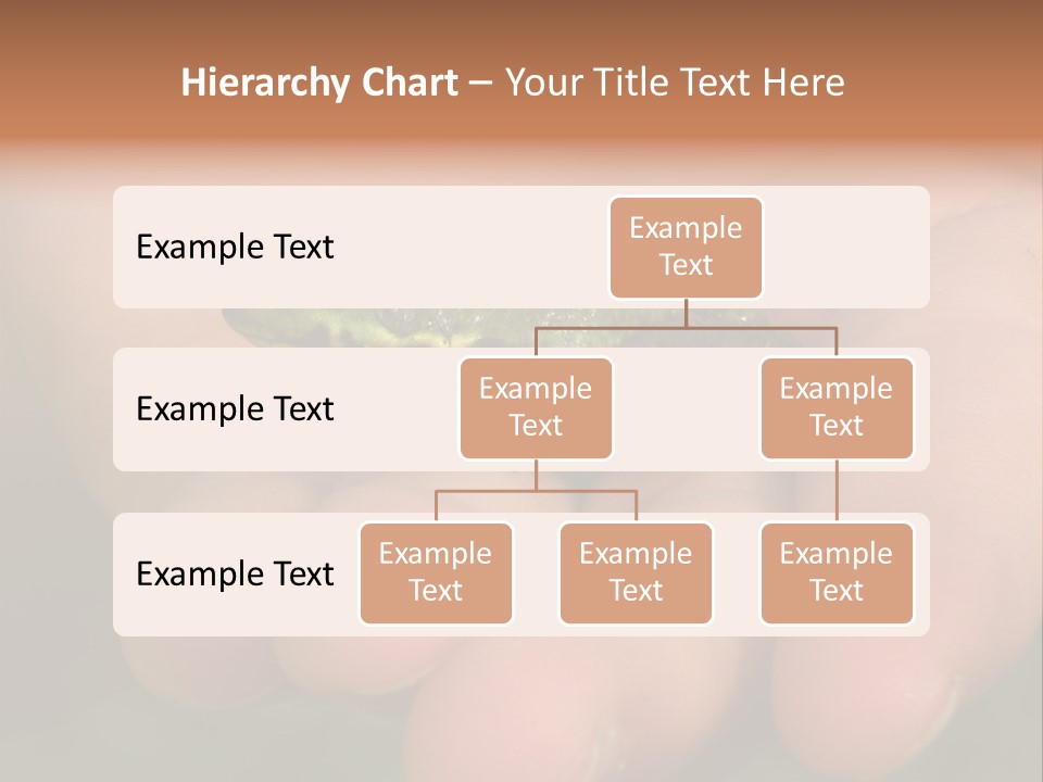 Anticipation Nature Imagination PowerPoint Template