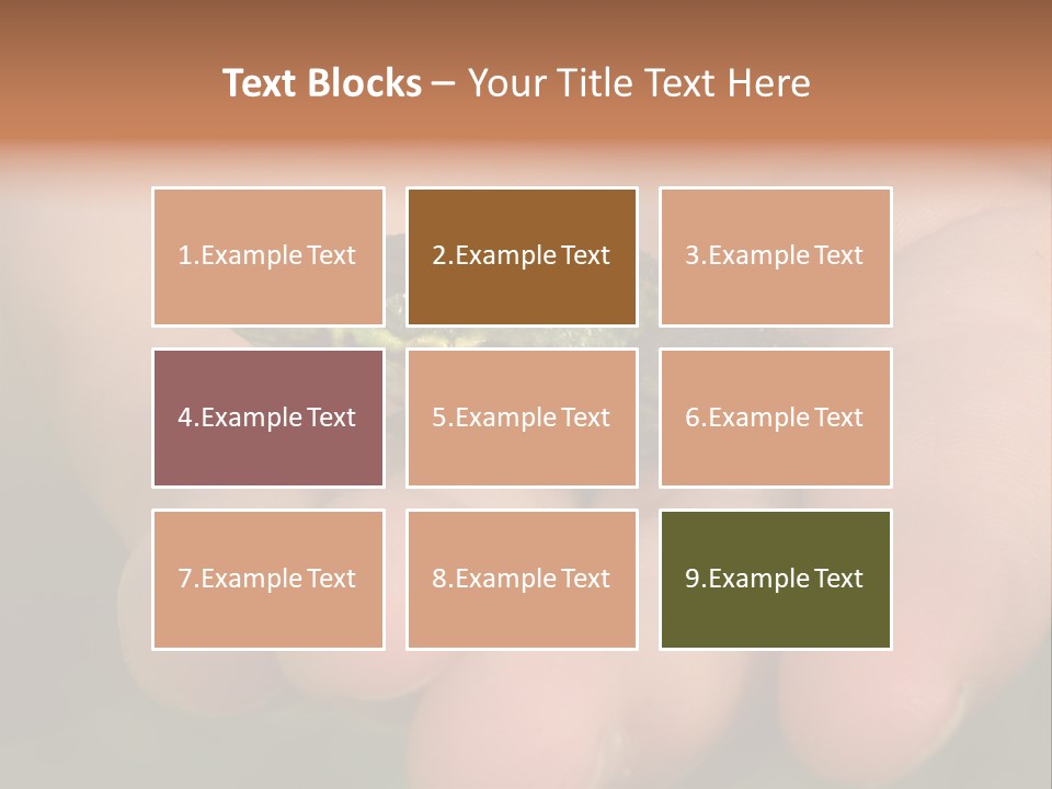 Anticipation Nature Imagination PowerPoint Template