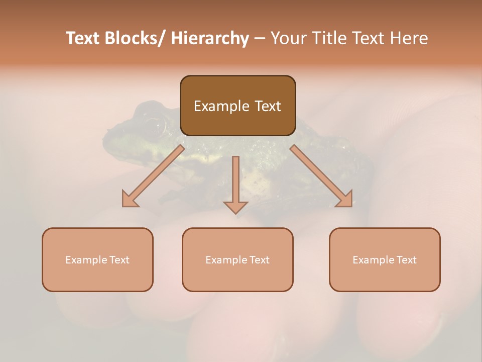 Anticipation Nature Imagination PowerPoint Template