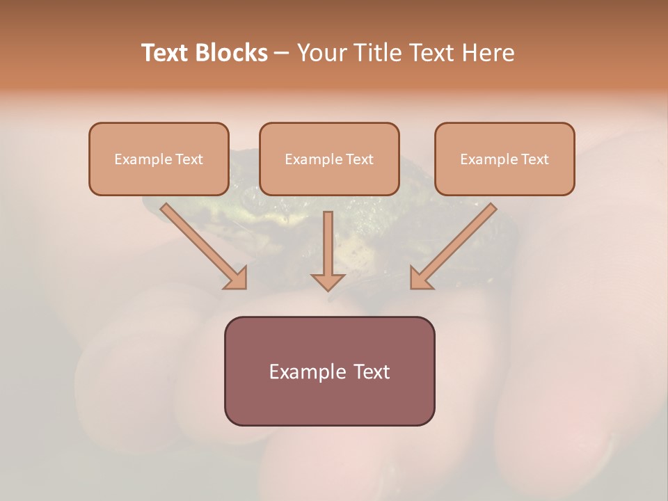 Anticipation Nature Imagination PowerPoint Template