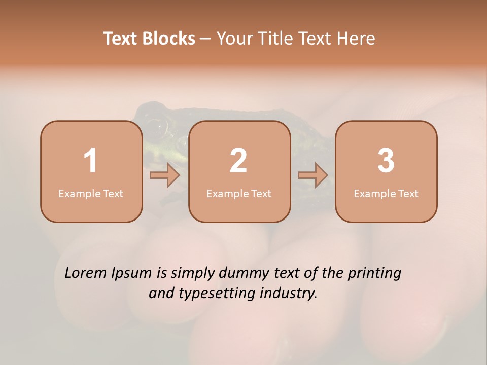 Anticipation Nature Imagination PowerPoint Template