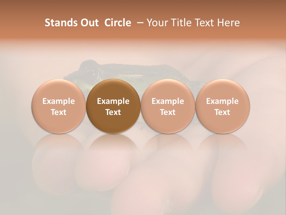 Anticipation Nature Imagination PowerPoint Template