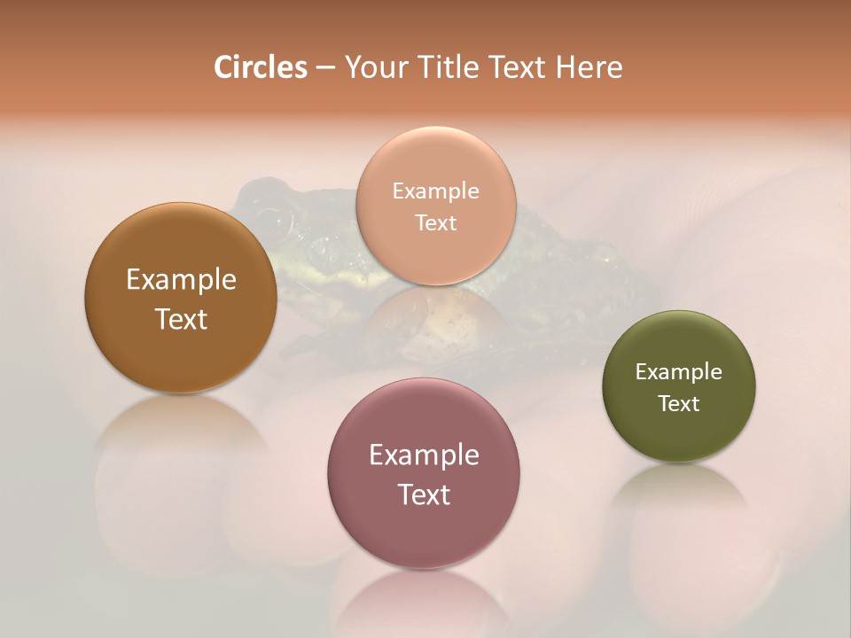 Anticipation Nature Imagination PowerPoint Template