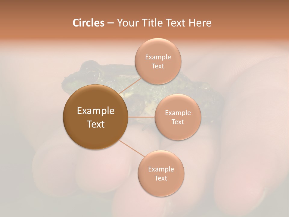 Anticipation Nature Imagination PowerPoint Template