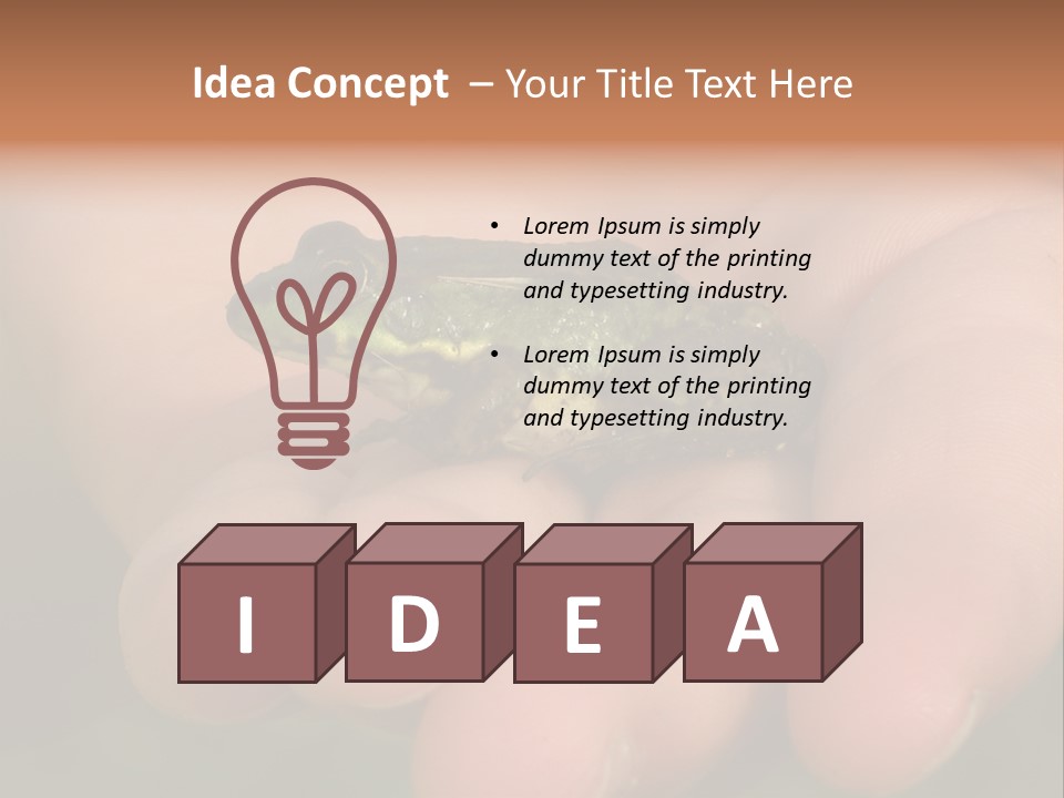 Anticipation Nature Imagination PowerPoint Template