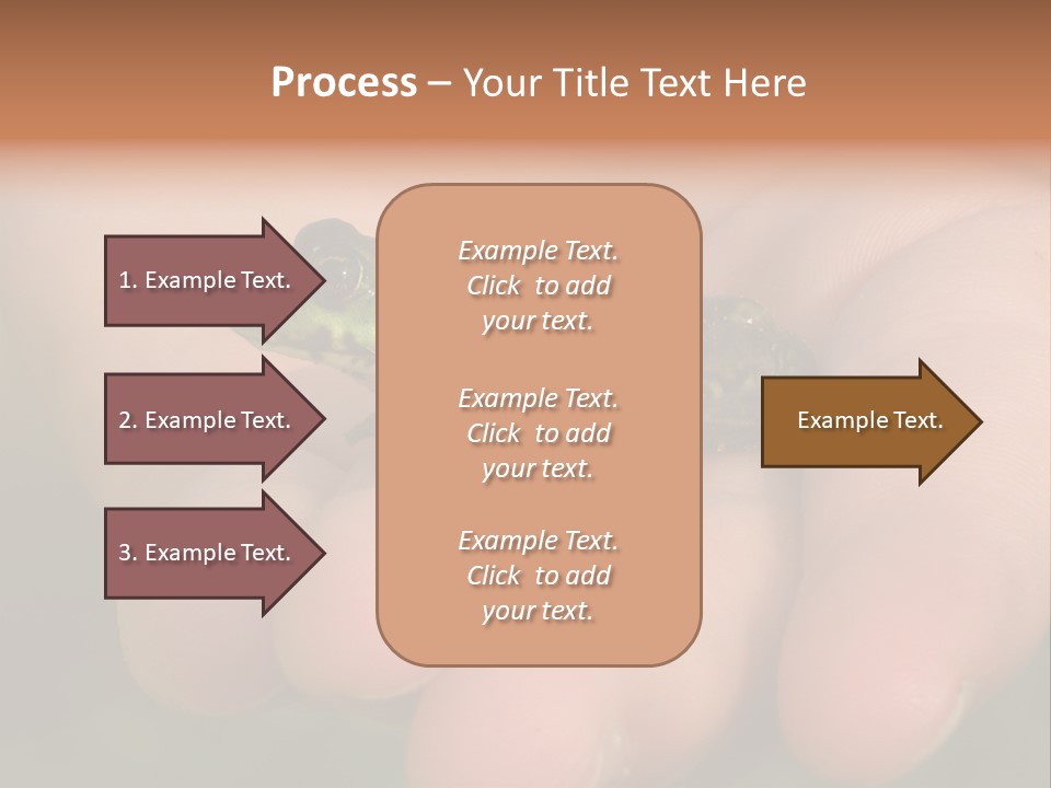 Anticipation Nature Imagination PowerPoint Template