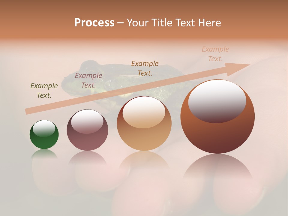 Anticipation Nature Imagination PowerPoint Template