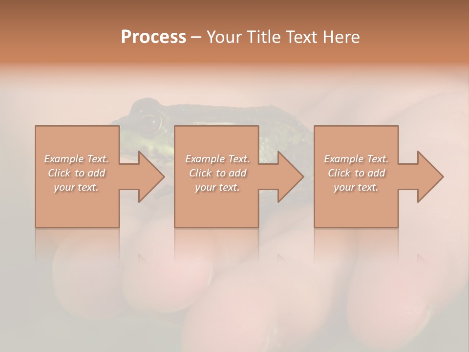 Anticipation Nature Imagination PowerPoint Template
