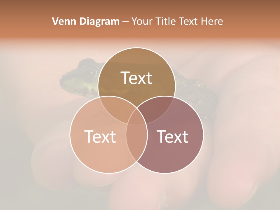 Anticipation Nature Imagination PowerPoint Template