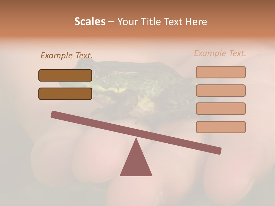 Anticipation Nature Imagination PowerPoint Template