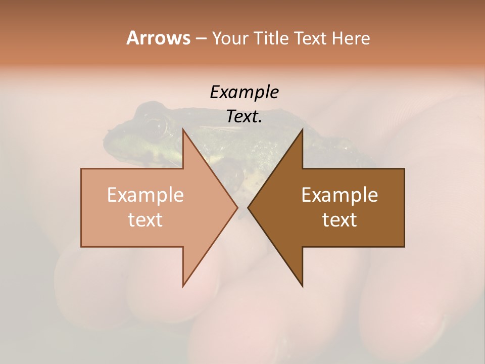 Anticipation Nature Imagination PowerPoint Template