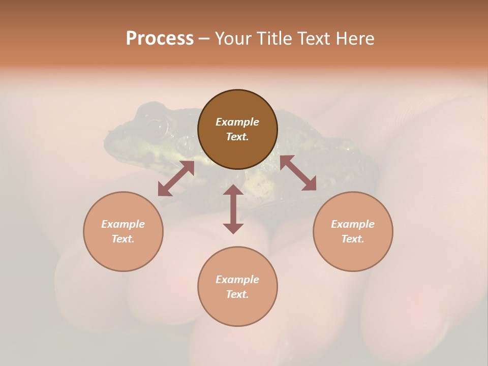 Anticipation Nature Imagination PowerPoint Template