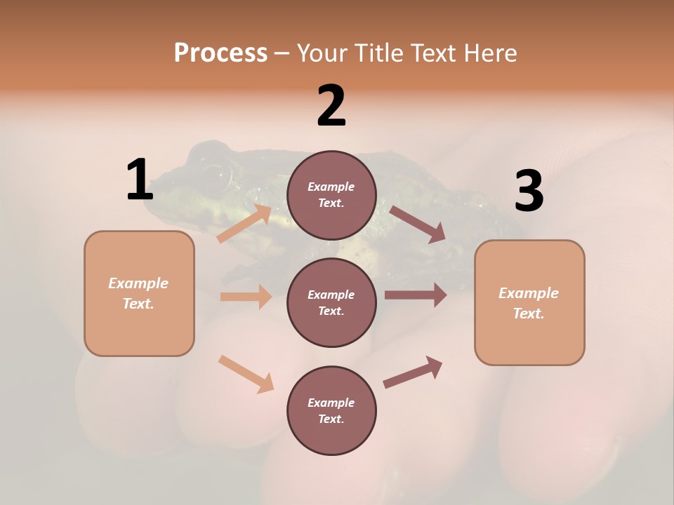 Anticipation Nature Imagination PowerPoint Template