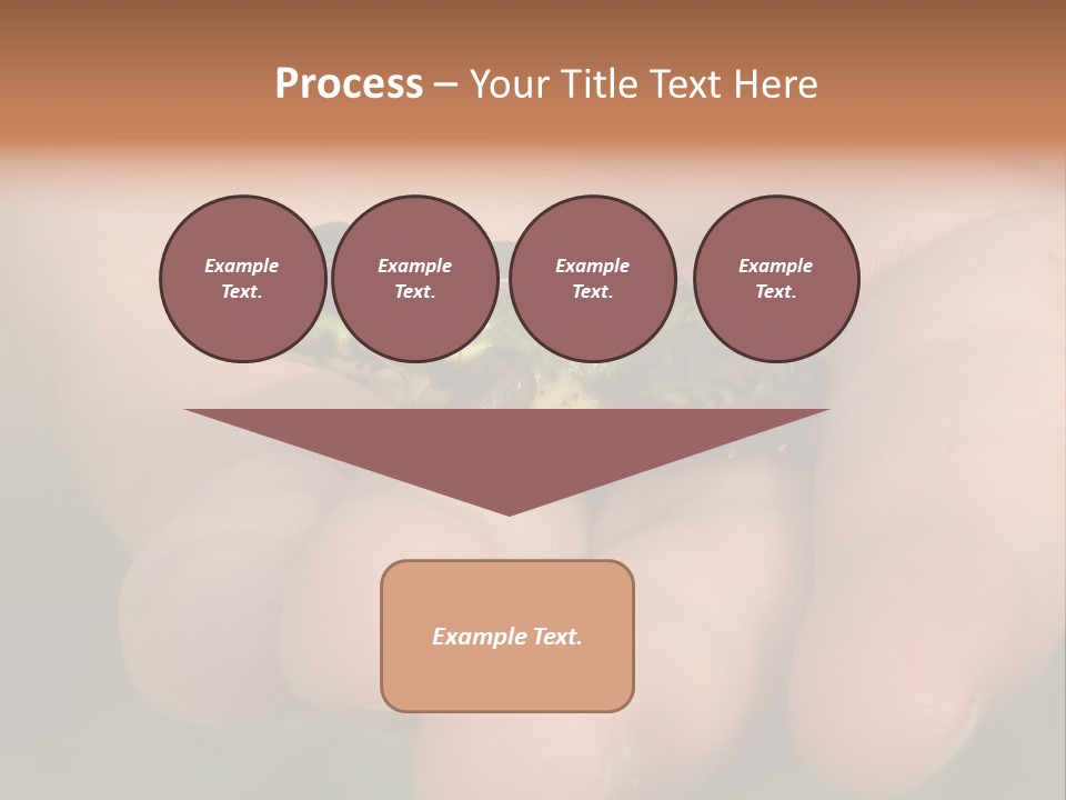 Anticipation Nature Imagination PowerPoint Template