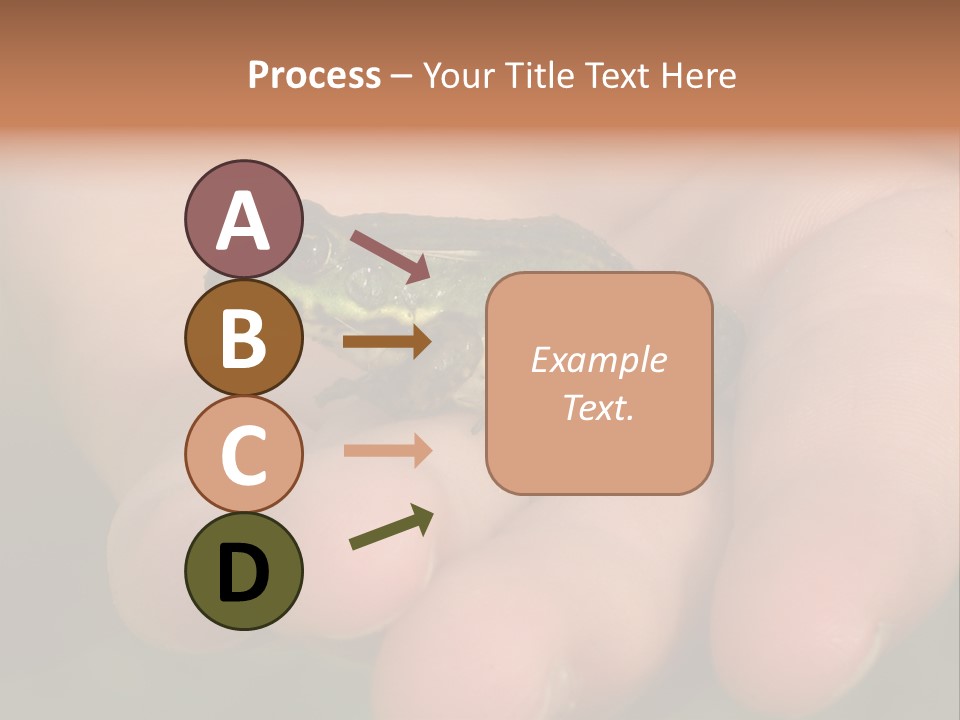Anticipation Nature Imagination PowerPoint Template