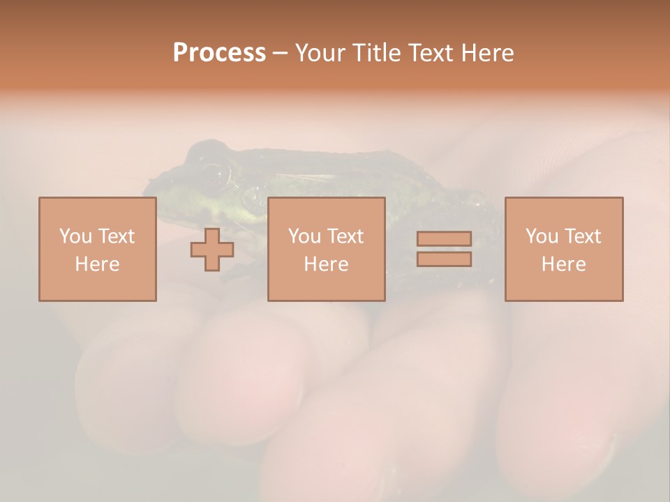 Anticipation Nature Imagination PowerPoint Template
