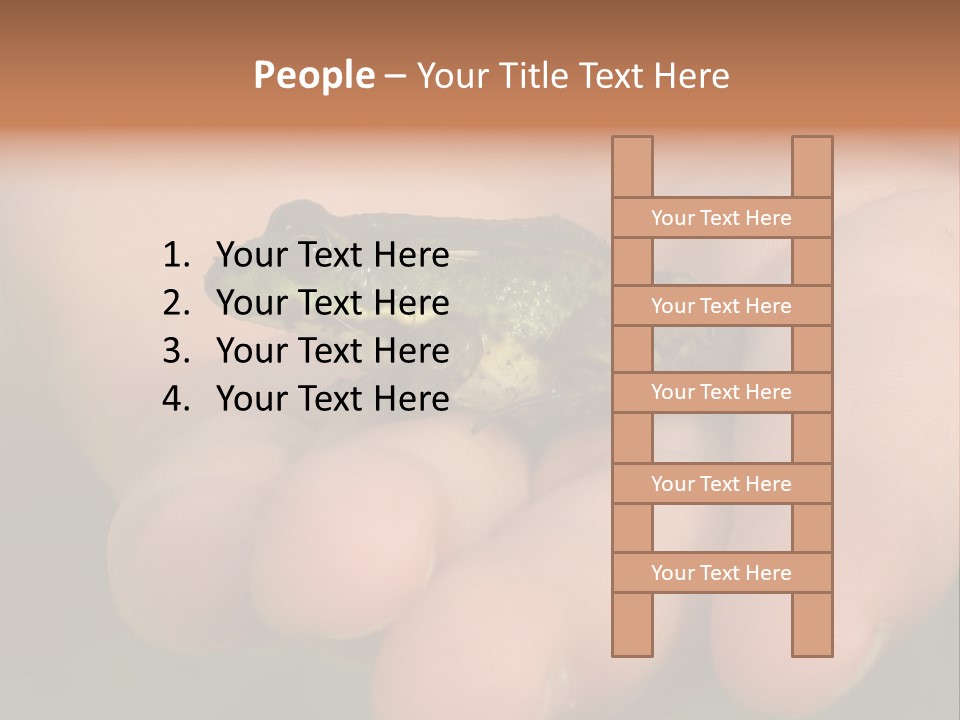 Anticipation Nature Imagination PowerPoint Template