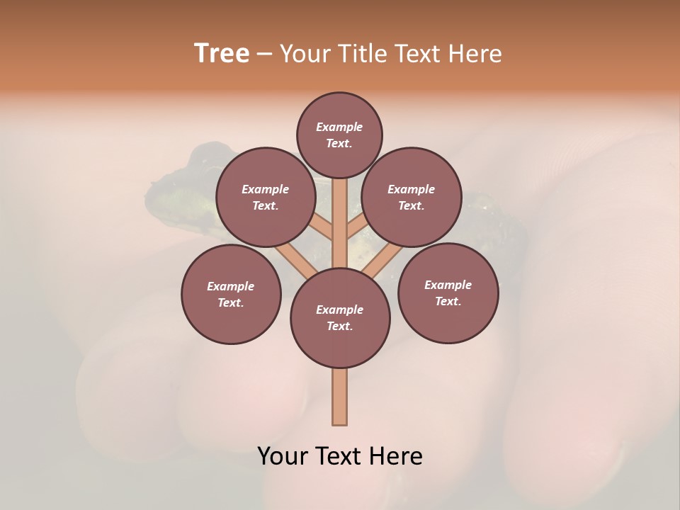 Anticipation Nature Imagination PowerPoint Template