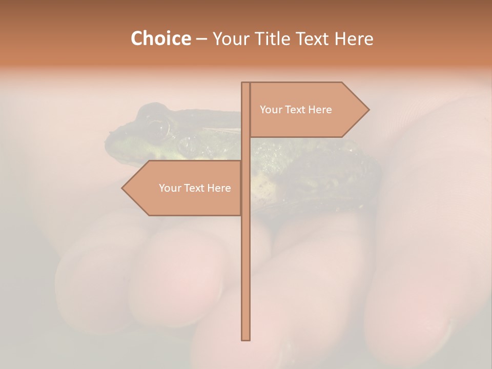 Anticipation Nature Imagination PowerPoint Template