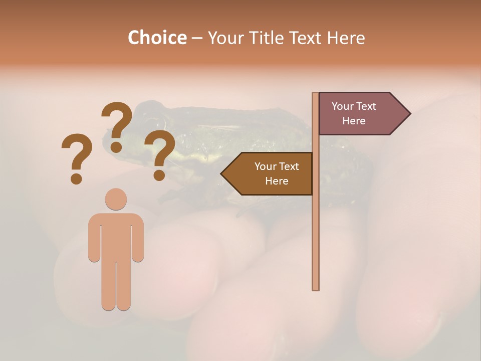 Anticipation Nature Imagination PowerPoint Template