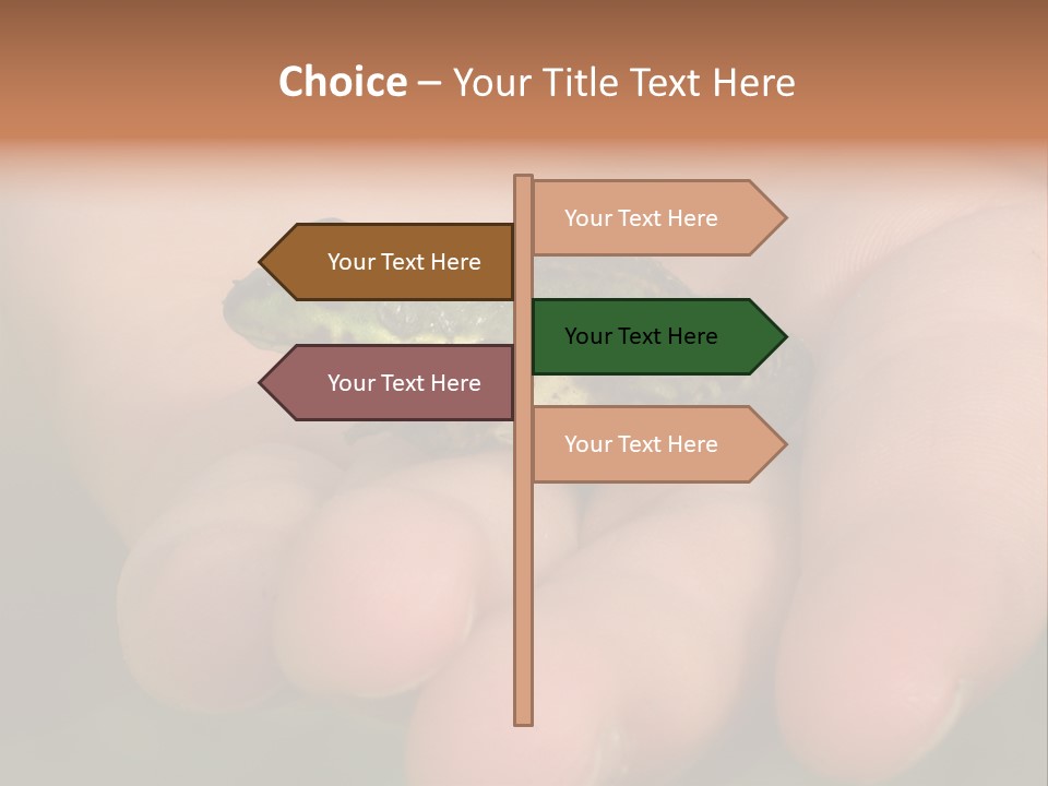 Anticipation Nature Imagination PowerPoint Template