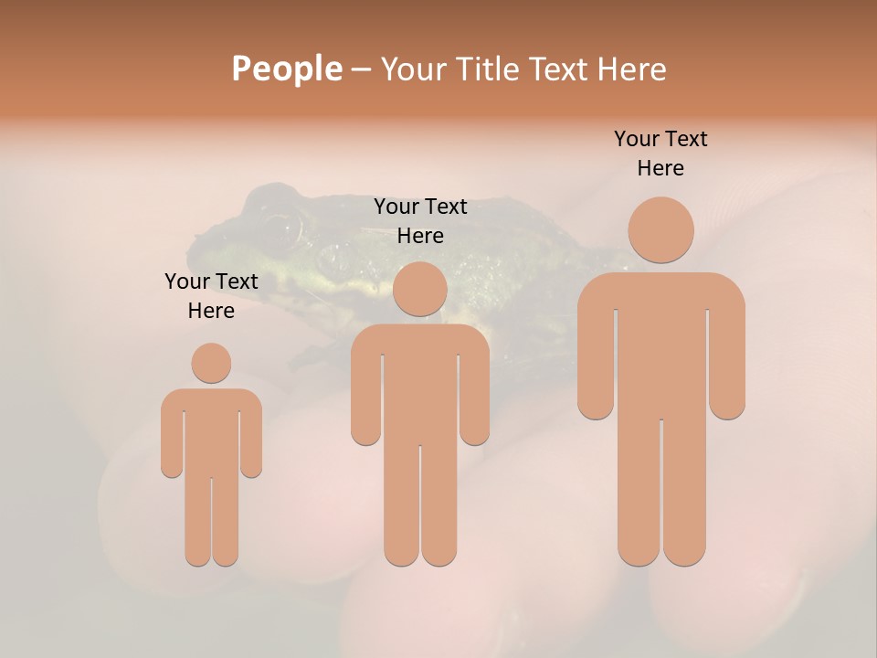 Anticipation Nature Imagination PowerPoint Template