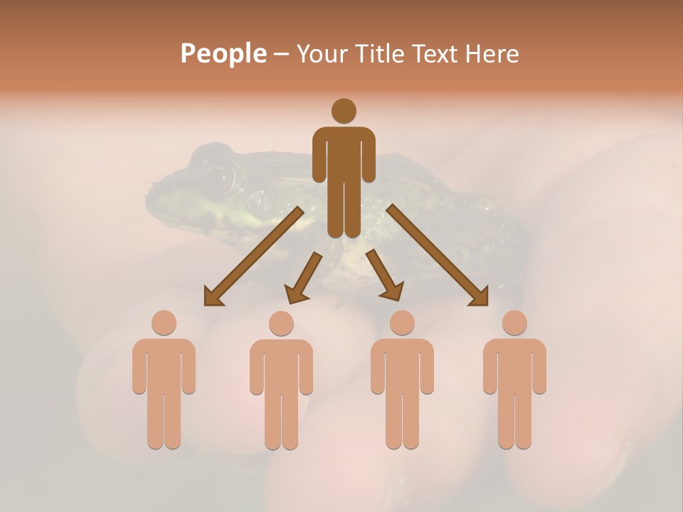 Anticipation Nature Imagination PowerPoint Template