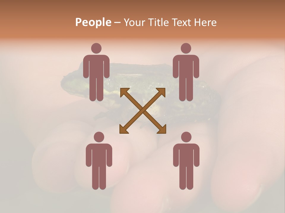 Anticipation Nature Imagination PowerPoint Template