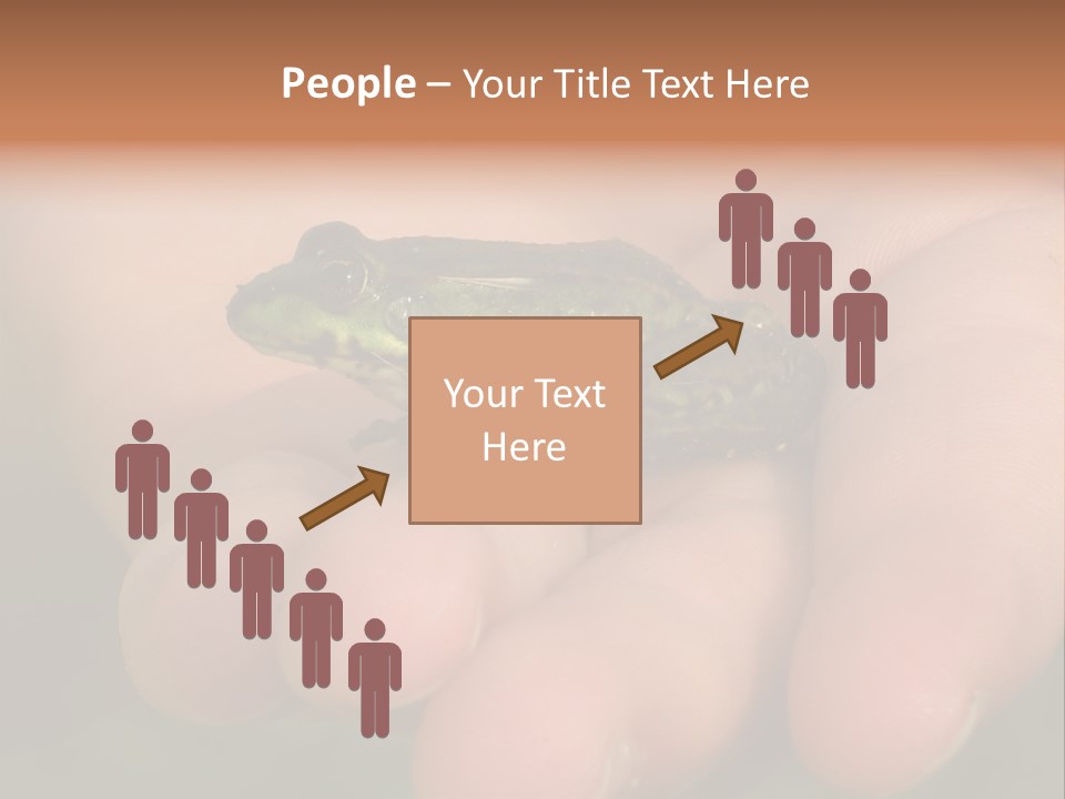 Anticipation Nature Imagination PowerPoint Template