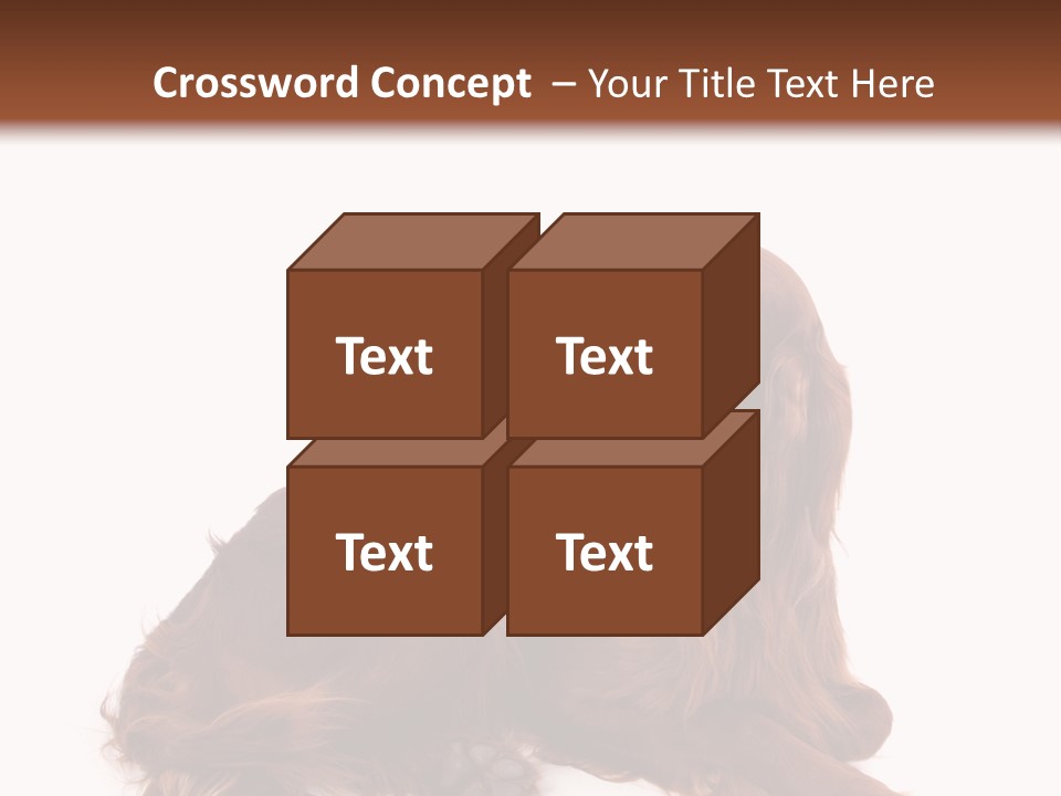 Setter Dog Isolated PowerPoint Template