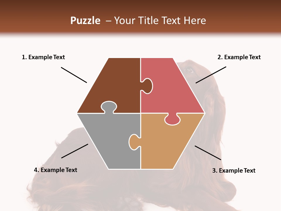 Setter Dog Isolated PowerPoint Template