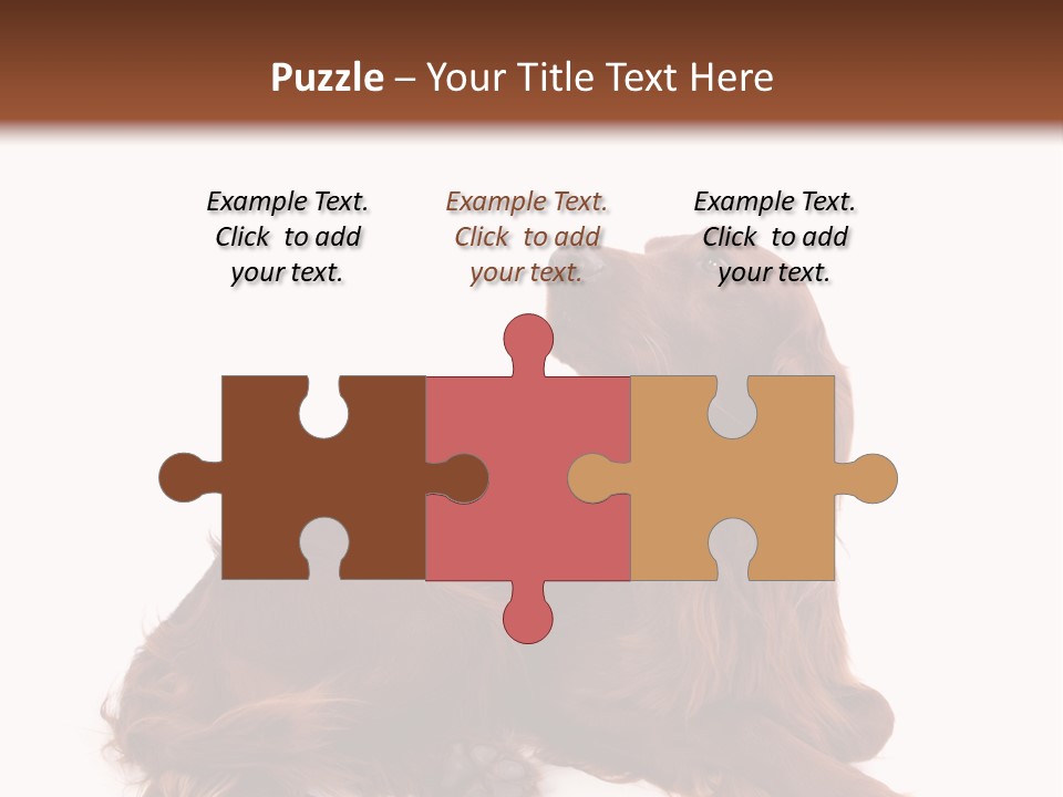 Setter Dog Isolated PowerPoint Template