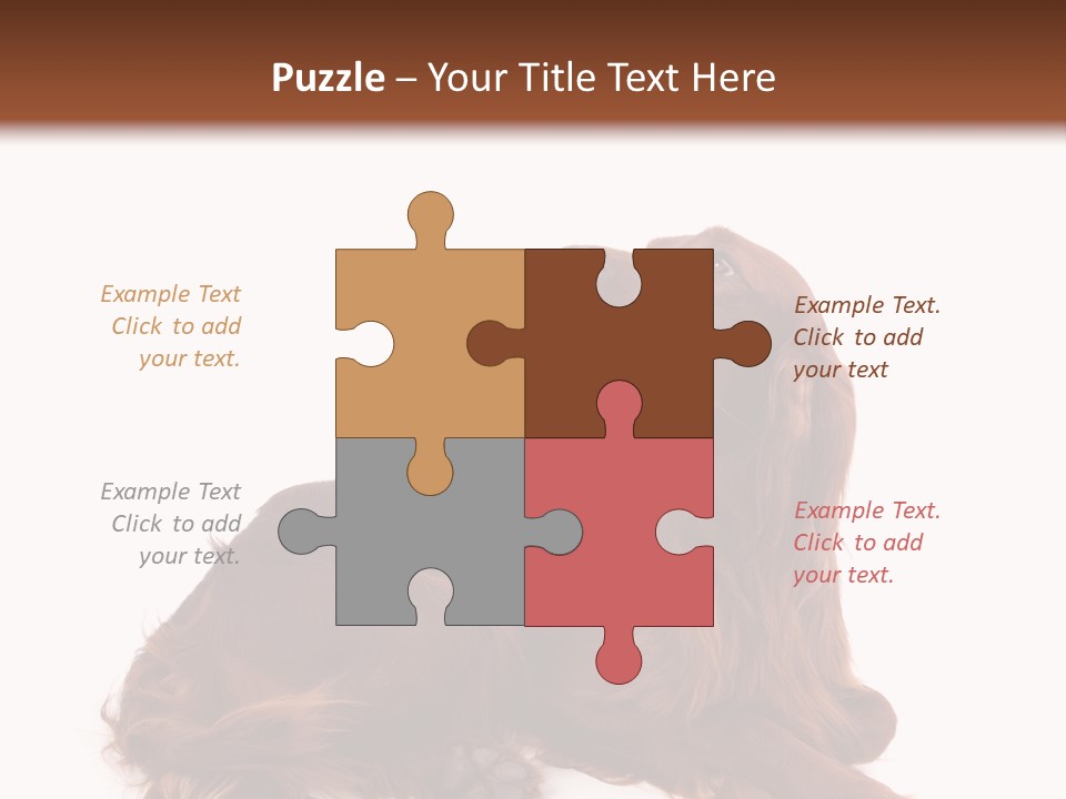 Setter Dog Isolated PowerPoint Template