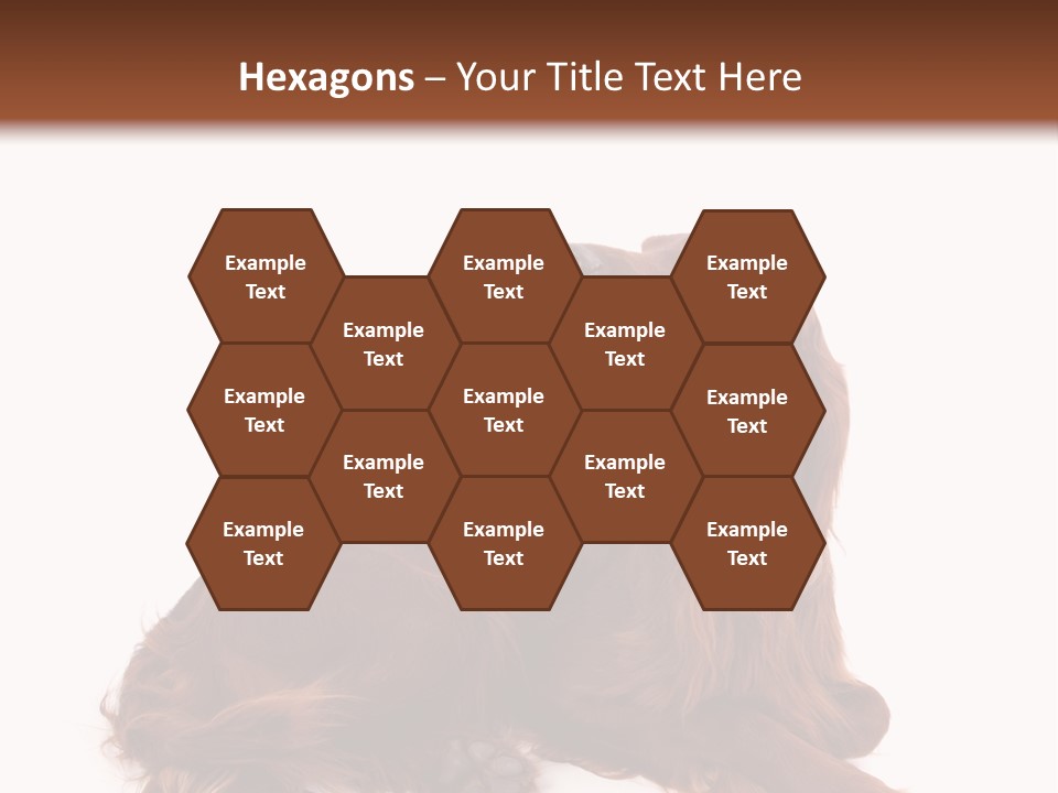 Setter Dog Isolated PowerPoint Template