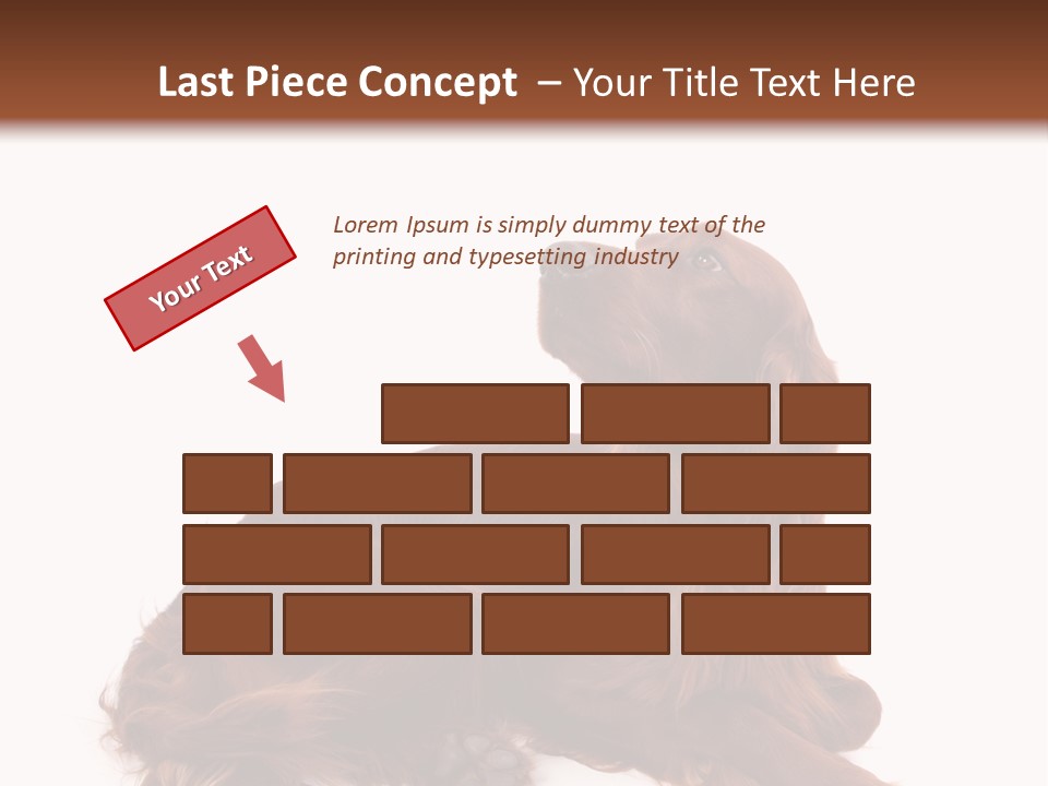 Setter Dog Isolated PowerPoint Template