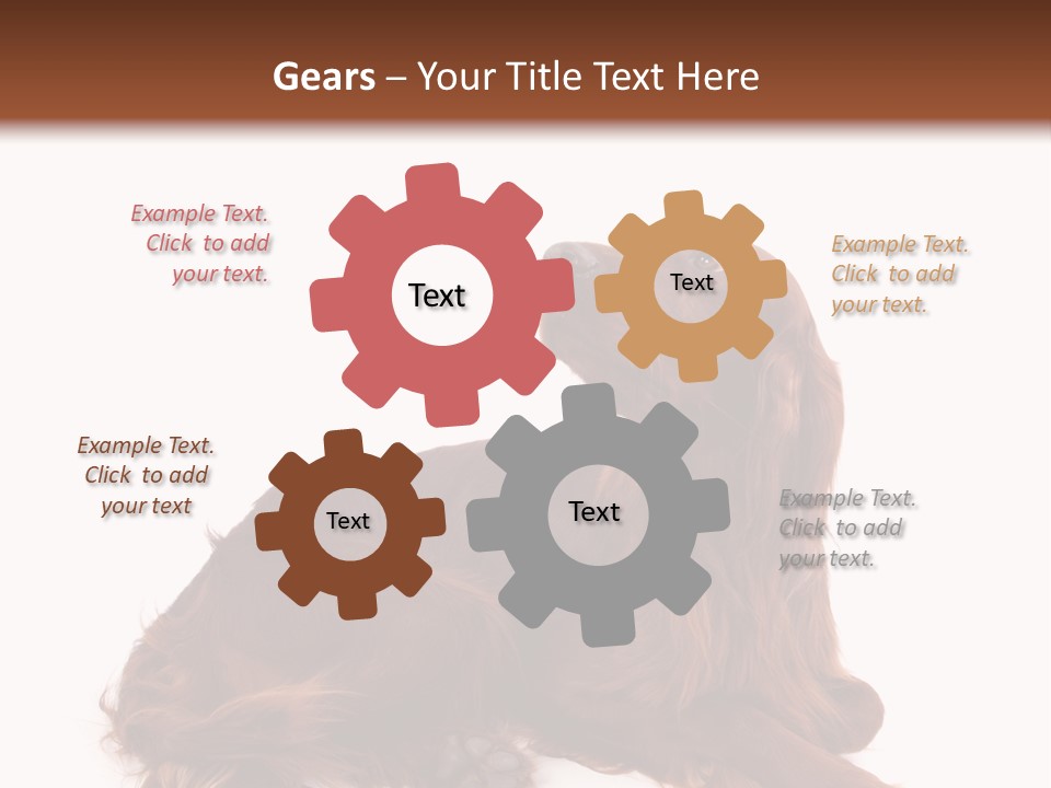 Setter Dog Isolated PowerPoint Template