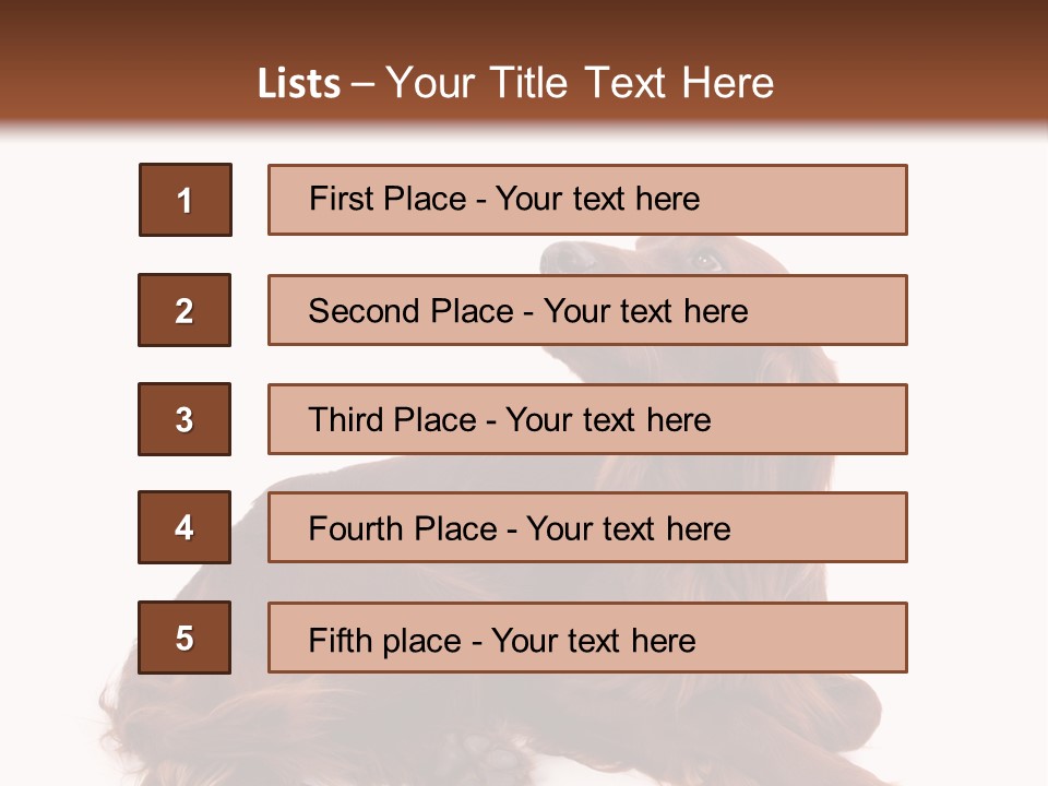 Setter Dog Isolated PowerPoint Template