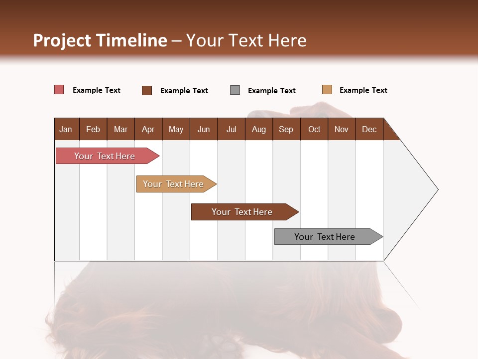 Setter Dog Isolated PowerPoint Template