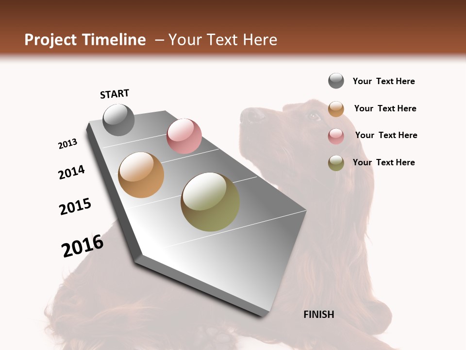 Setter Dog Isolated PowerPoint Template