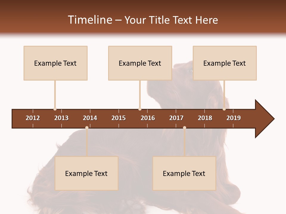 Setter Dog Isolated PowerPoint Template