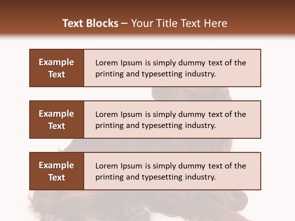 Setter Dog Isolated PowerPoint Template